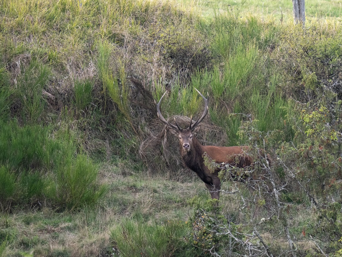 27092025-27 09 25 (11).jpg